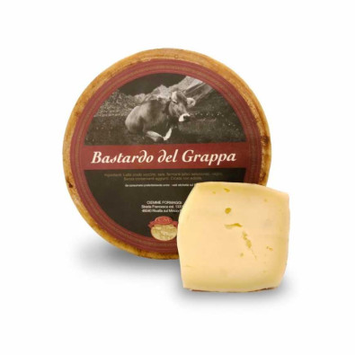 Bastardo Del Grappa Formaggio Kg.6 Pz.1