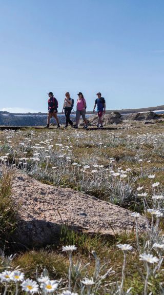 Hiking and Bushwalking, Kosciuszko National Park