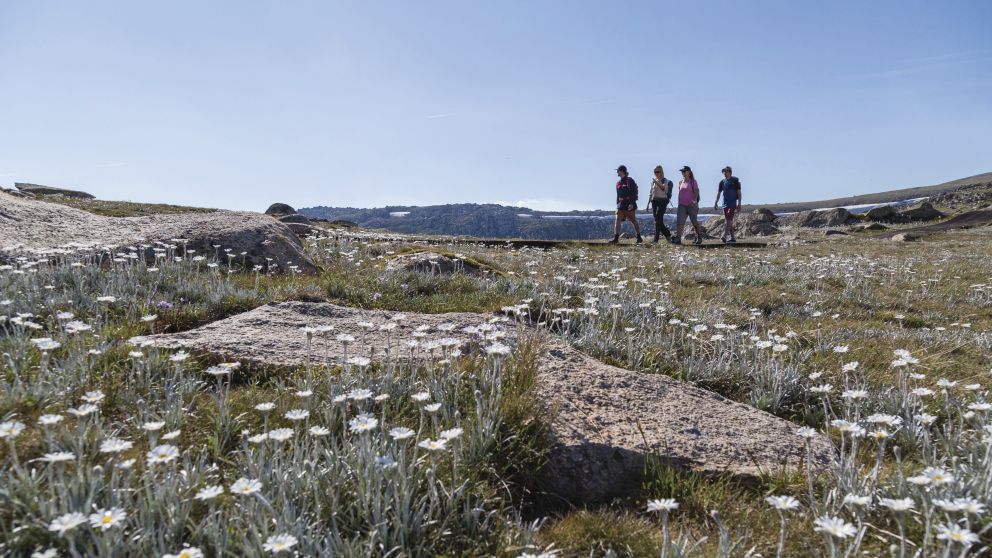 Hiking and Bushwalking, Kosciuszko National Park