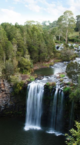 Dangar Falls, near Dorrigo