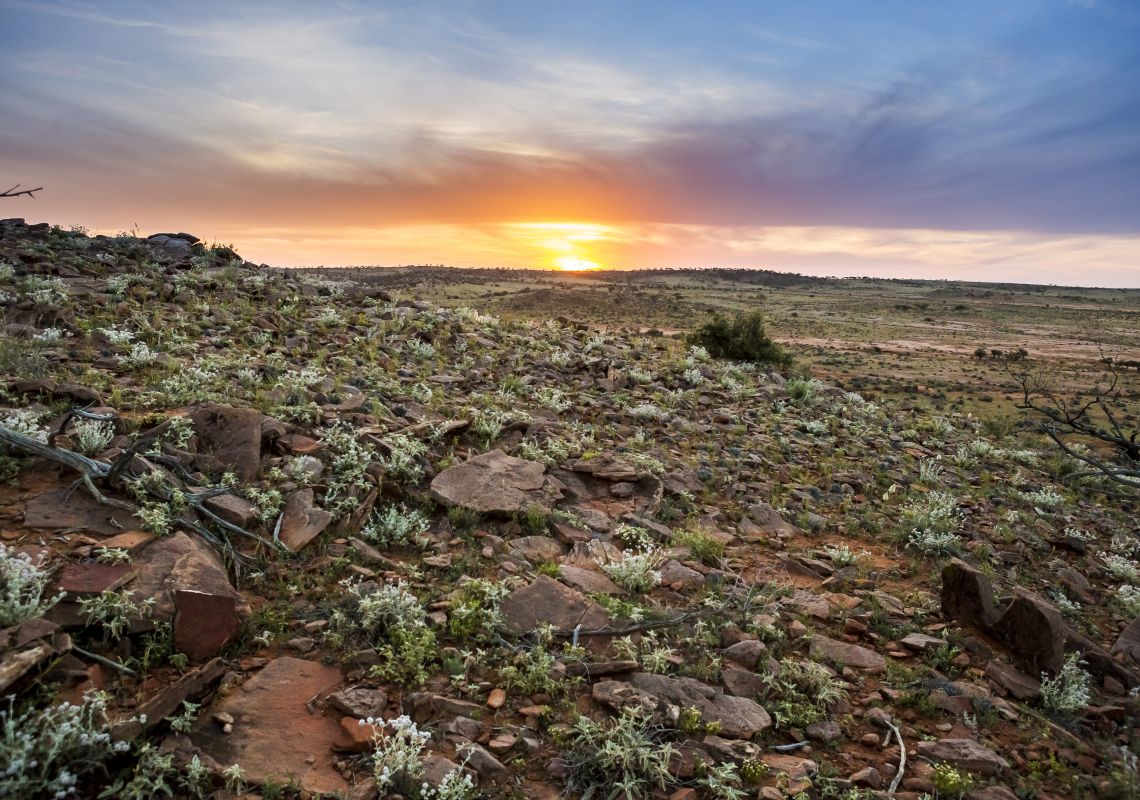 The red earth of the Outback in Far West NSW