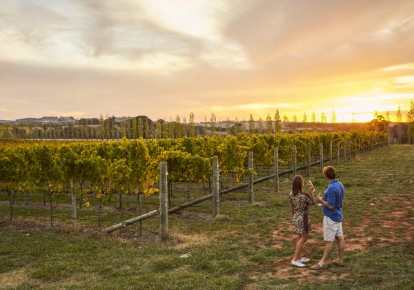 Couple sipping wine at sunset at Swinging Bridge Wines - Orange - Country NSW