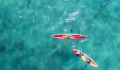 Go Sea Kayak - Byron Bay