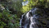 Sylvia Falls - Wentworth Falls - Blue Mountains