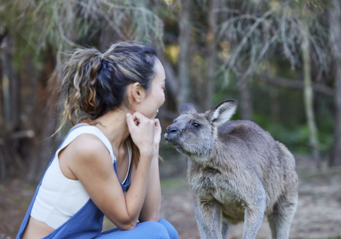 Woman meeting a resident wallaby at the Walkabout Wildlife Sanctuary, Calga
