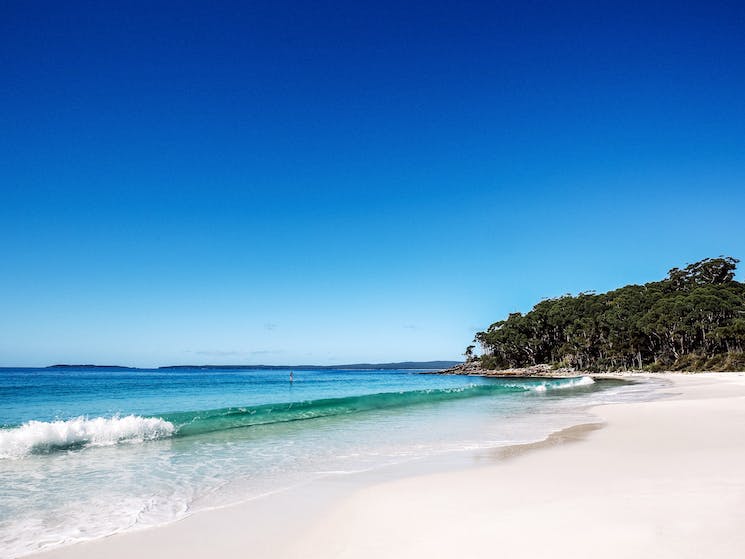 Paperbark Camp is just minutes drive from the pristine beaches of Jervis Bay