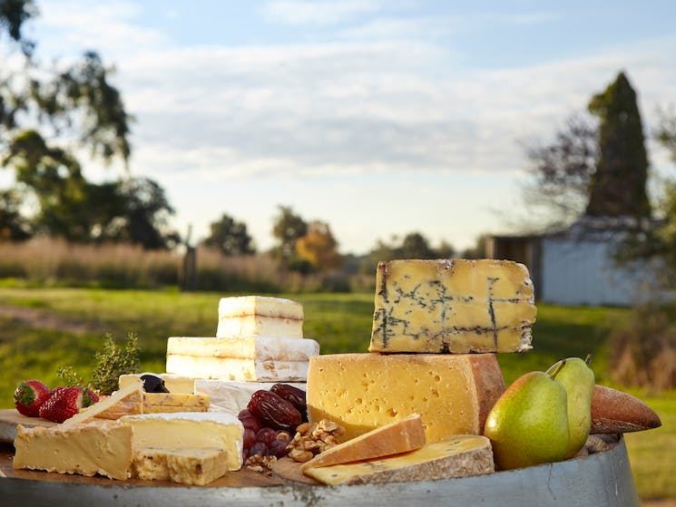 a wide range of cheese is made at Hunter belle using Brown Swiss cows milk