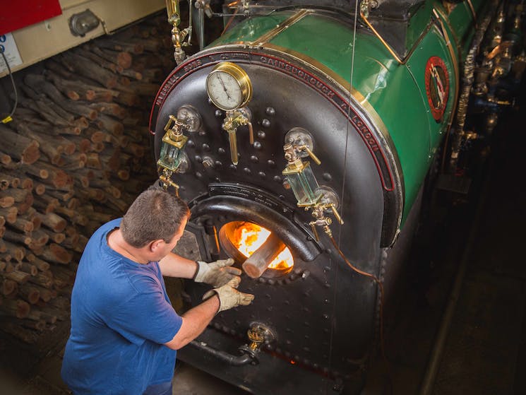 Engineer keeping steam up with Redgum logs