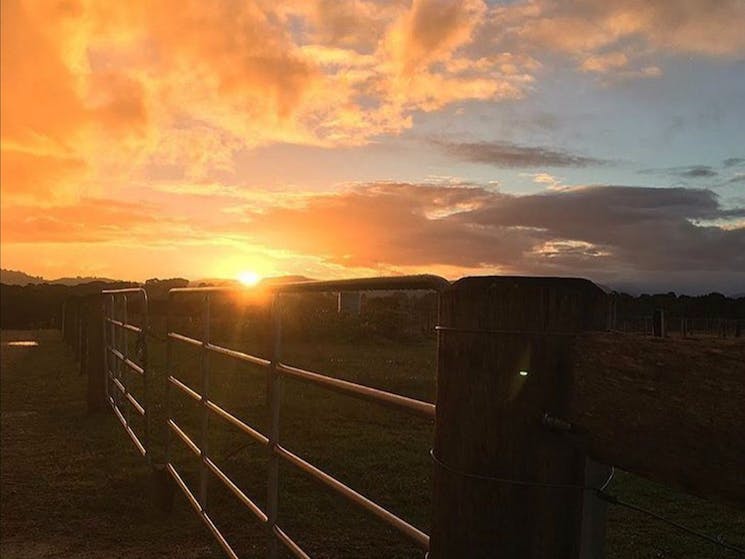 The Farm Byron Bay