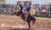 Coonamble Rodeo and Campdraft in Coonamble, Warrumbungle