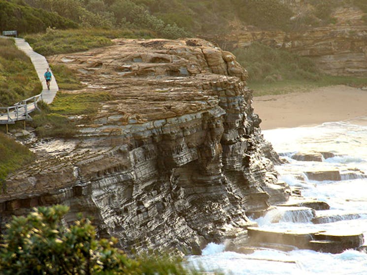 Bouddi Coastal Walk, Bouddi National Park. Photo: John Yurasek