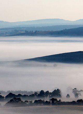 Foggy Morning near Walcha, Country NSW