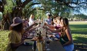 Friends cheers in the afternoon sun at Tinklers WIne - Hunter Valley