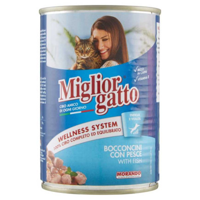 Miglior Gatto Bocconcini al Pesce Gr.405