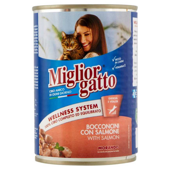 Miglior Gatto Bocconcini con Salmone Gr.405