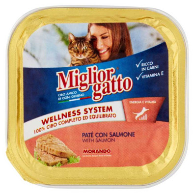 Miglior Gatto Vaschetta Pate' con Salmone Gr.100