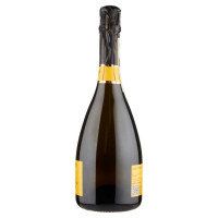 Valdo Elevantum Valdobbiadene Prosecco Superiore Docg Brut Cl.75 Vol.11,5°